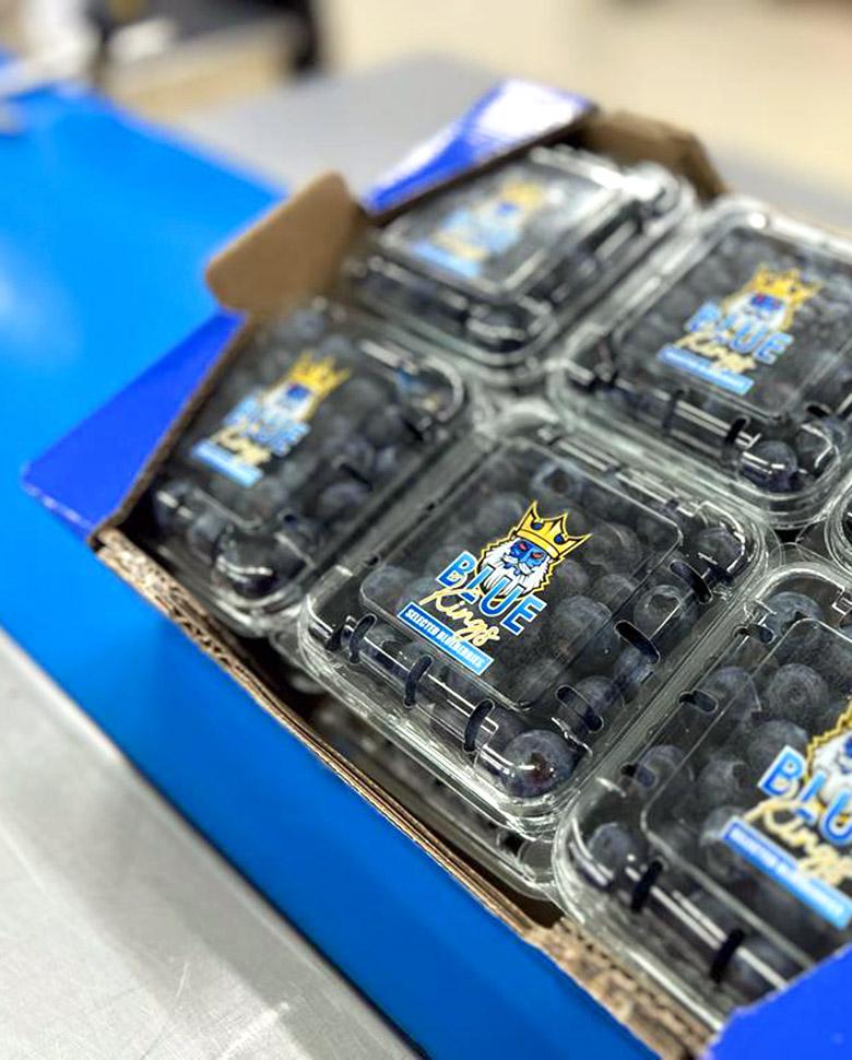 Envases de arándanos Blue King