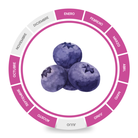 Calendario de producción arándanos